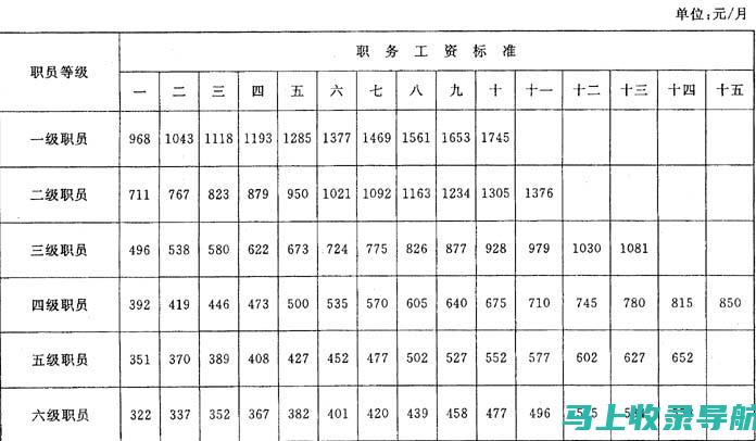 站长职位等级揭秘：如何评估站长的能力与级别